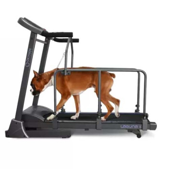 OXYGEN FITNESS LAGUNA II DOG Беговая дорожка домашняя LAGUNA_II_DOG