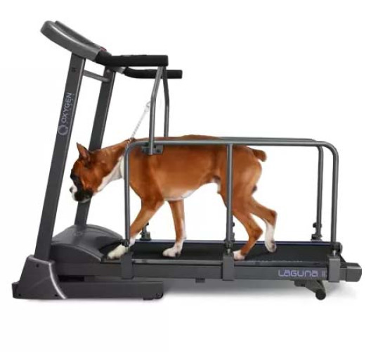 КупитьOXYGEN FITNESS LAGUNA II DOG Беговая дорожка домашняя LAGUNA_II_DOG