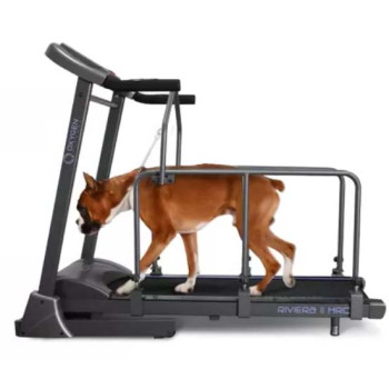 OXYGEN FITNESS RIVIERA II HRC+ DOG Беговая дорожка домашняя RIVIERA_II_HRC+_DOG