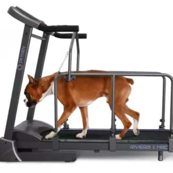 OXYGEN FITNESS RIVIERA II HRC+ DOG Беговая дорожка домашняя RIVIERA_II_HRC+_DOG