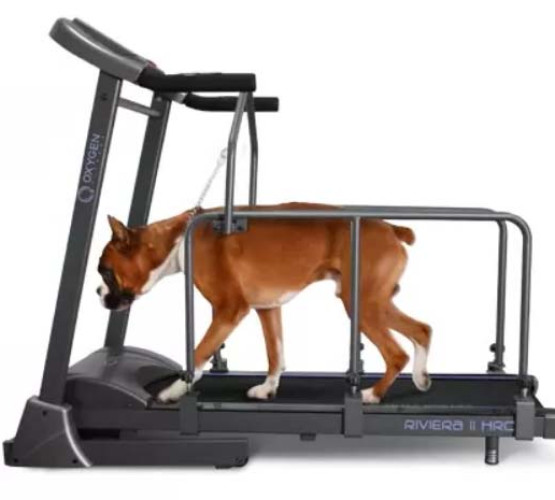 КупитьOXYGEN FITNESS RIVIERA II HRC+ DOG Беговая дорожка домашняя RIVIERA_II_HRC+_DOG