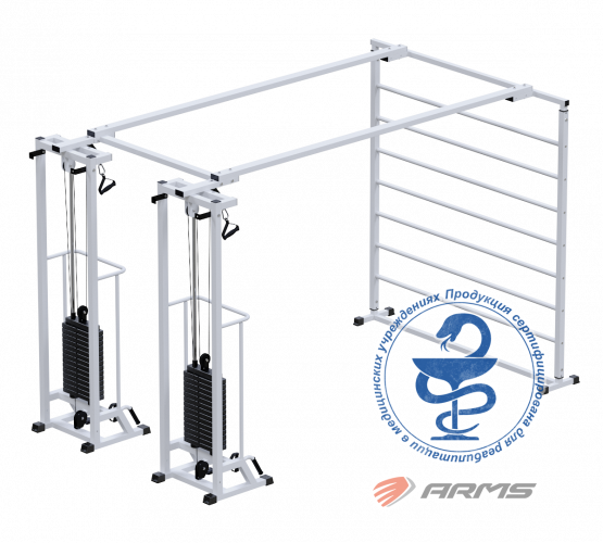 КупитьБиотонус-2 плюс шведская стенка (стек 2 х 75 кг) AR088.2 х 2200