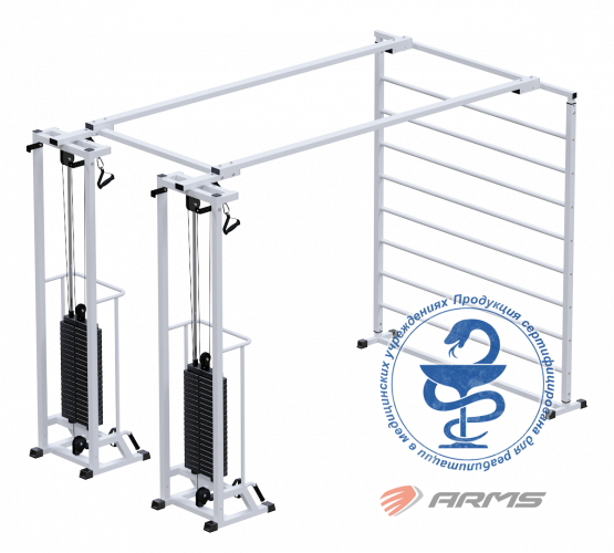 КупитьБиотонус-2+шведская стенка (стек 2х75кг) AR088.2х2400