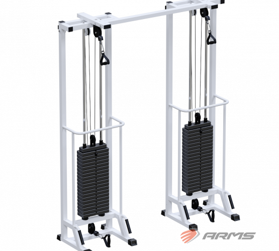 КупитьБиотонус - 2 (стек 2 х 100 кг) AR087.2 х 2400