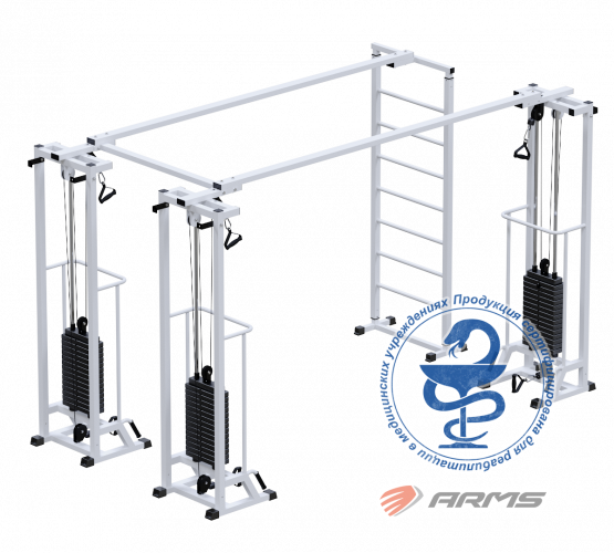 КупитьБиотонус-3 плюс шведская стенка (стек 3 х 75 кг) AR087.3 х 2200