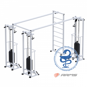 Биотонус-3 + шведская стенка (стек 3 х 75 кг) AR087.3 х 2400