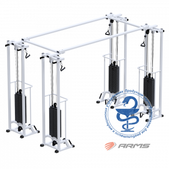 Биотонус-4 (стек 4х100 кг) AR089.4х2400