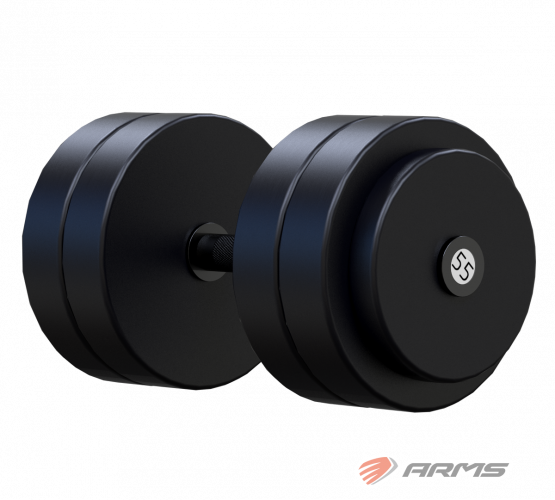 КупитьГантель профессиональная 55кг VSA55